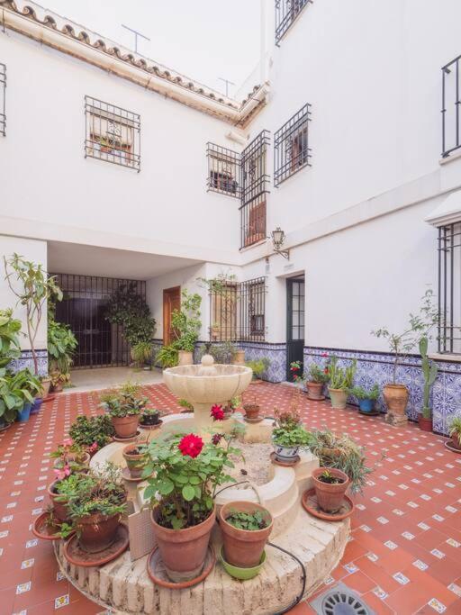 Mezquita Premium Apartment กอร์โดบา ภายนอก รูปภาพ