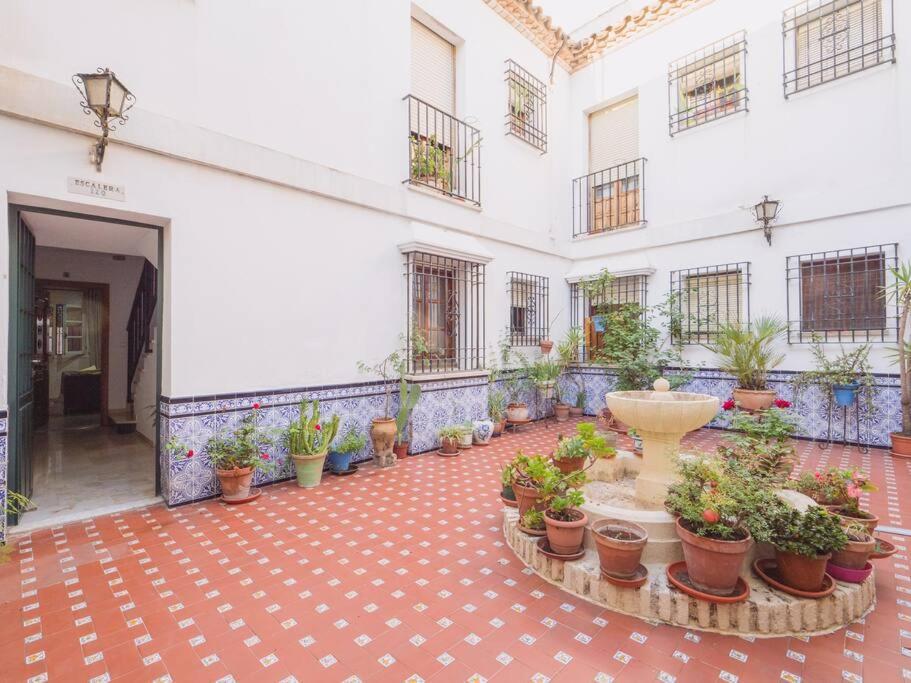 Mezquita Premium Apartment กอร์โดบา ภายนอก รูปภาพ