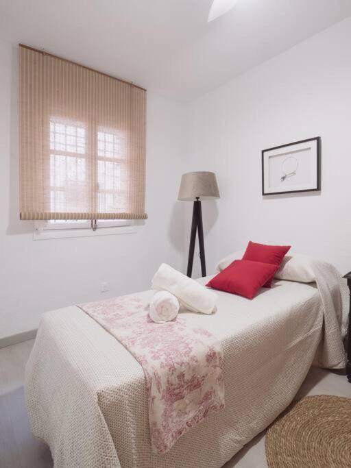 Mezquita Premium Apartment กอร์โดบา ภายนอก รูปภาพ